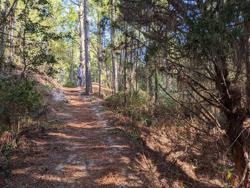 Hammock Hills Trail - Image 1