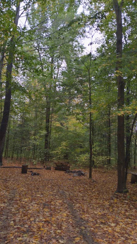 NYS DEC Designated Campsite - Image 1