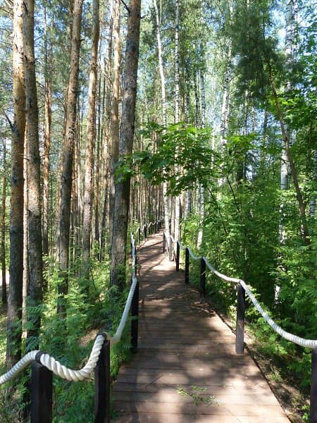 Dendrariy Losinyy Ostrov - Image 1