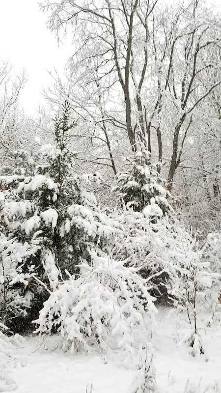 Holly Township Parks & Recreation Office & Sorensen Park & Nature Center - Image 1