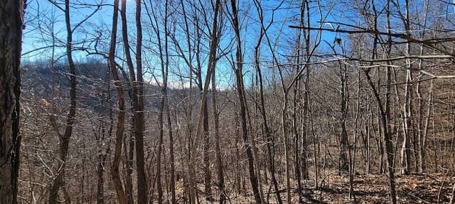 Tucker Mountain-100 Acre Wood - Image 1