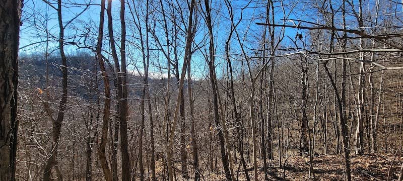 Tucker Mountain-100 Acre Wood - Image 1