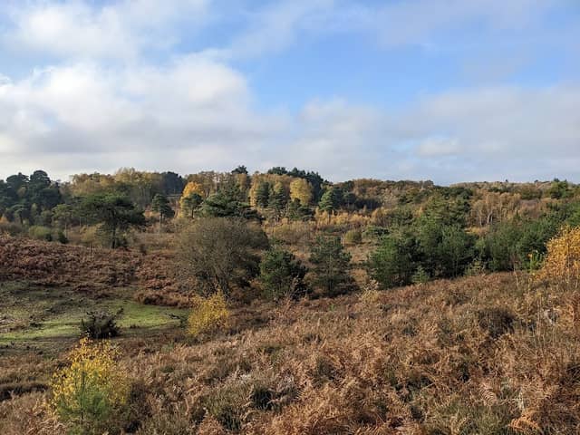 Castle Bottom - Image 1