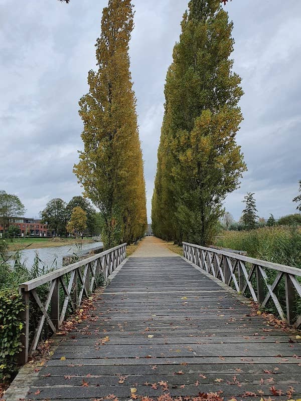 Western Park - Image 2