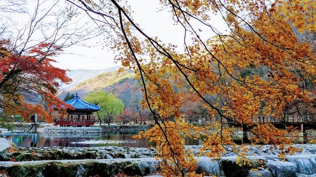 신선폭포 - Image 1