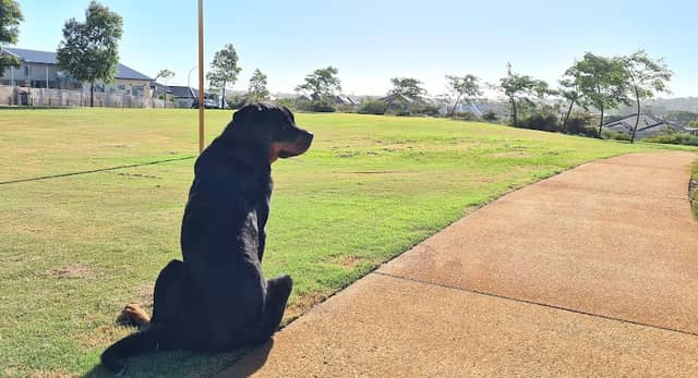 Lopresti Park - Image 1