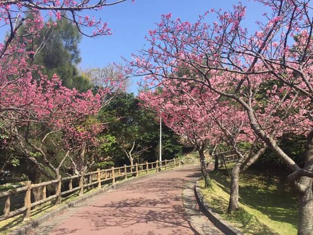Kakazu Takadai (Hilltop) Park - Image 3
