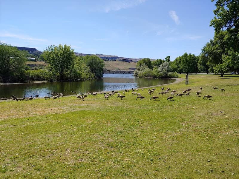 Swallows Park - Image 1