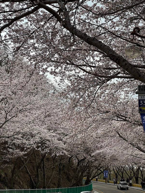 황령산 돌탑길 - Image 1