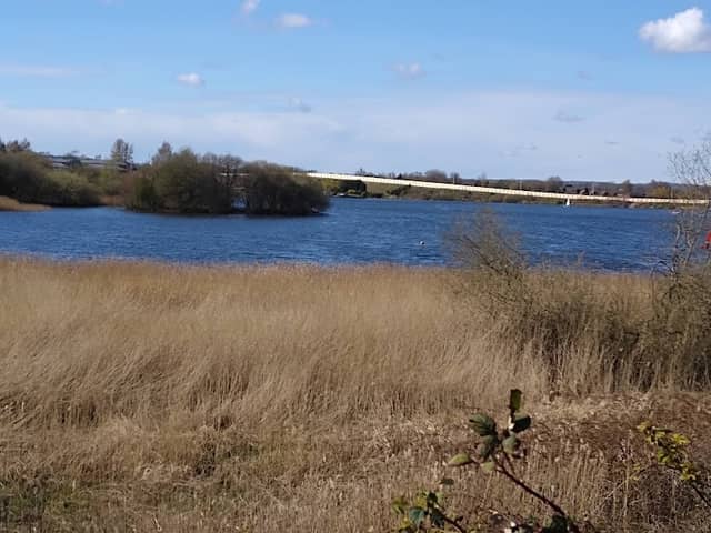 Wigan Flashes Local Nature Reserve - Image 1