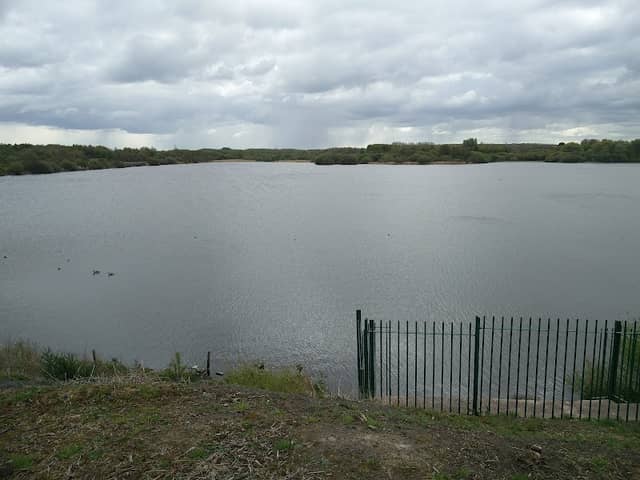 Wigan Flashes Local Nature Reserve - Image 2