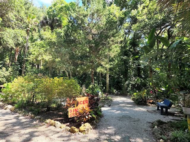 Children's Garden - Image 1