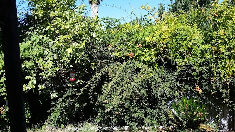 Hrepich Park - Image 1