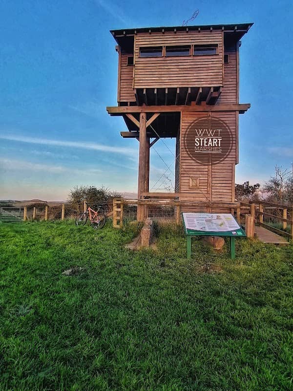 Steart Marsh Bird Hide - Image 1