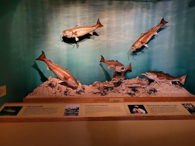 Bayou Terrebonne Waterlife Museum - Image 1