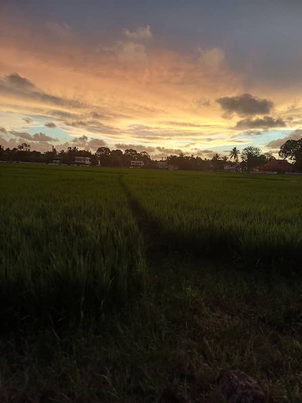 വളവ് (മുനാപ്പി മുക്ക് ) - Image 1