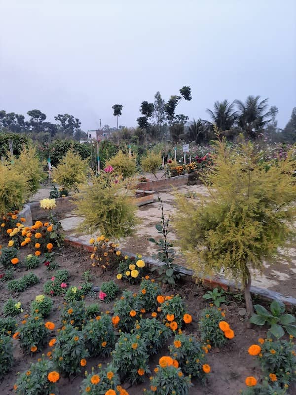 HONG-KONG PARK - Image 1