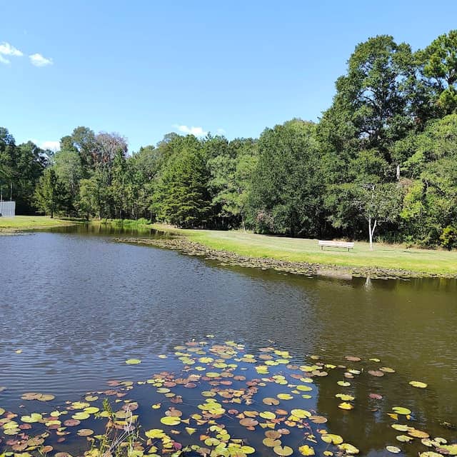 Palomino Drive Park - Image 1