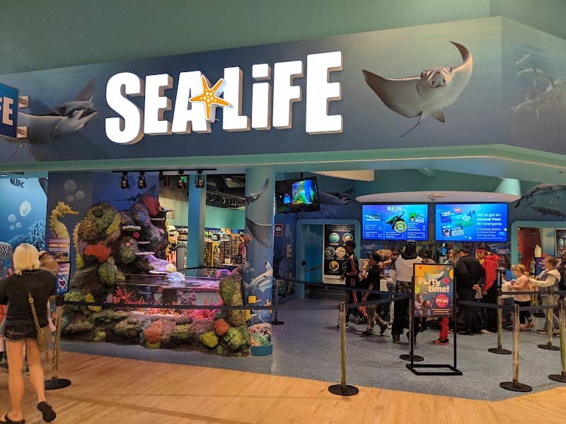 SEA LIFE Michigan Aquarium - Image 3