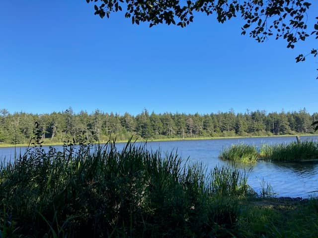 Loomis Lake State Park - Image 2