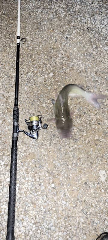 Osage City Lake - Image 2
