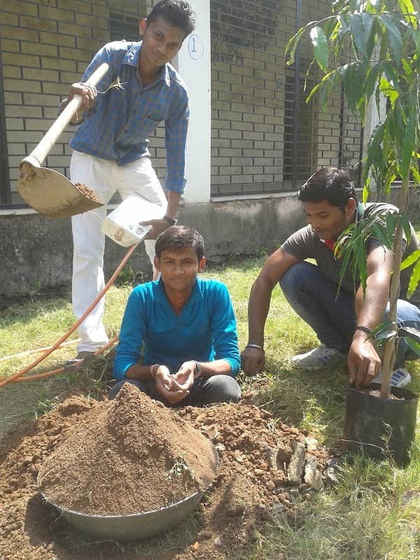 Geography garden - Image 1