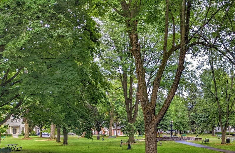 Canton Village Park - Image 1