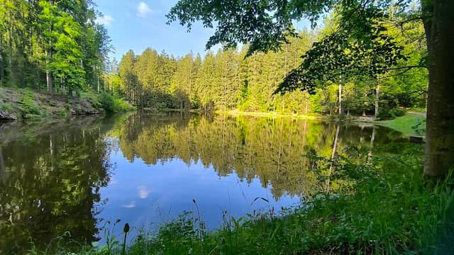 Nový rybník - Image 1