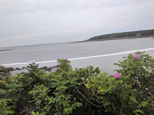York Cliffs - Image 1