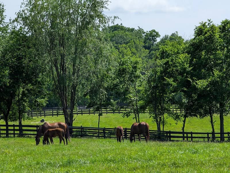 Saxony Farm - Image 2