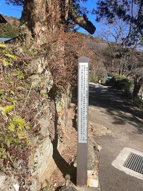 福島家のマキ - Image 1