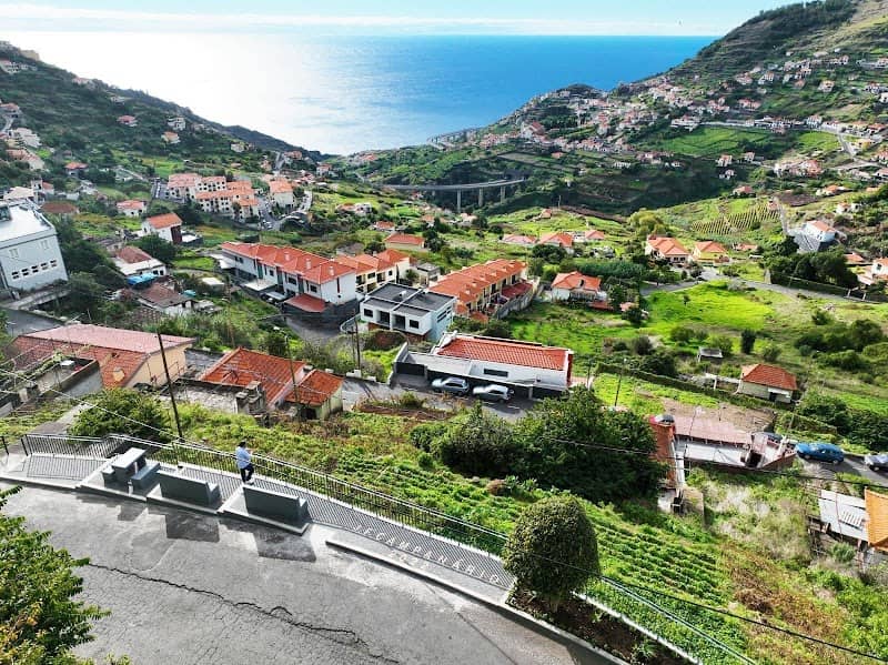 Miradouro do Pinheiro - Image 1