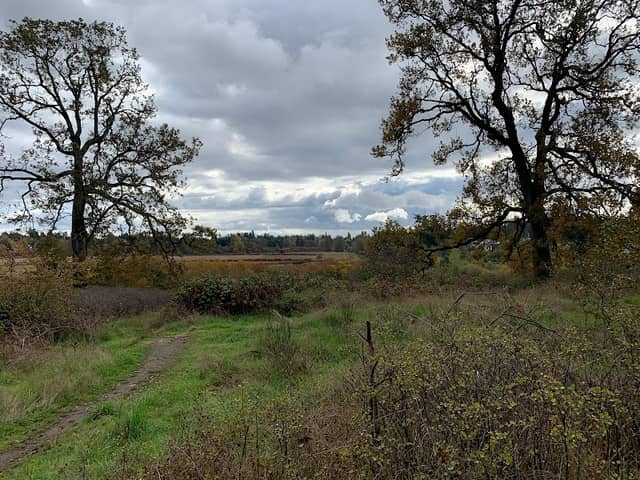 Panama Hill Park - Image 2