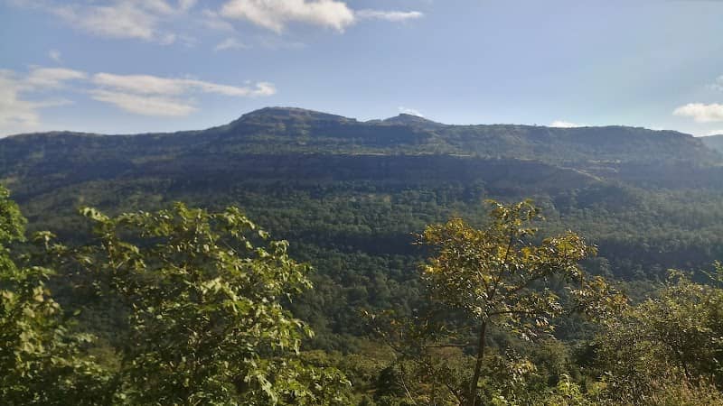 Monkey Hill - Image 1