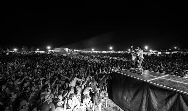 Music In The Fields - Image 1
