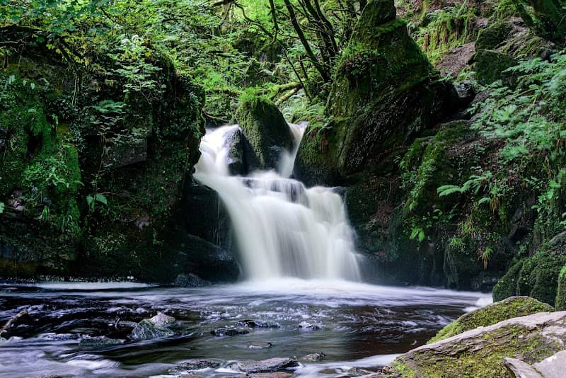 Mullinhassig Wood & Waterfalls, Aghavrin - Image 1