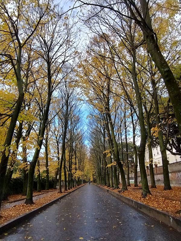 Olmata di Genzano di Roma - Image 1