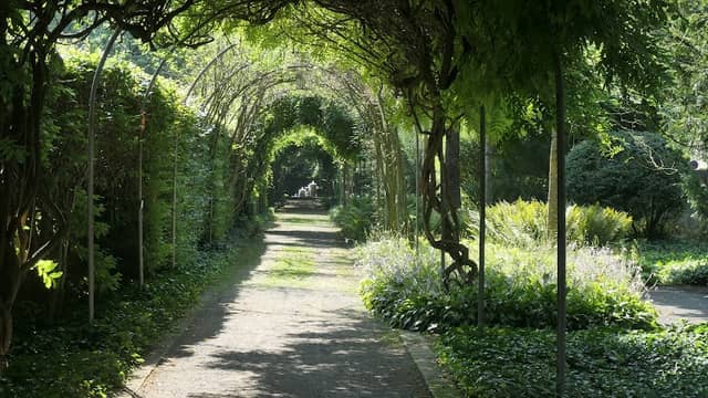 Heckengarten - Image 3