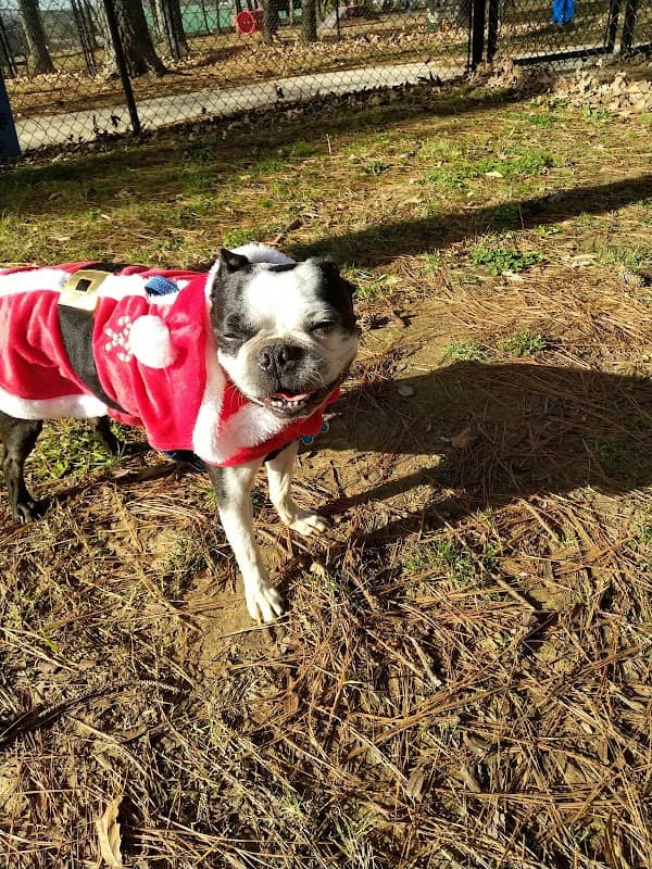 Dr. Vicki Schneider Lake Dog Park - Image 2