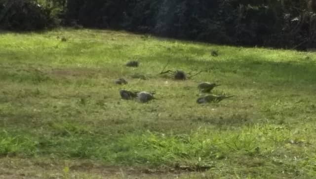 Plazoleta Las Caleras - Image 1