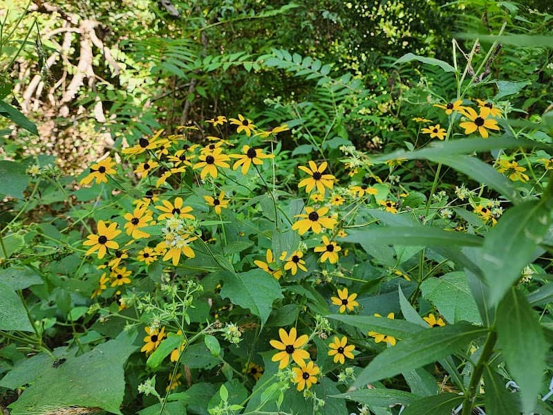 Covington Circle Trail - Image 2