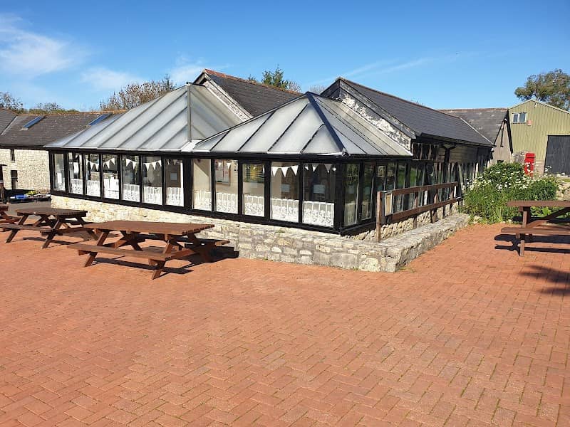 The Amelia Trust Farm - Image 2