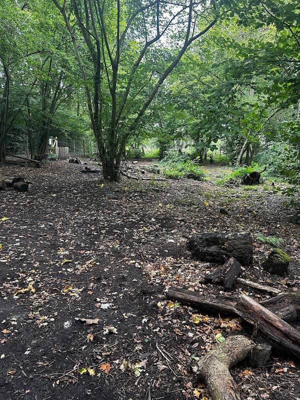 Bailees Field - Image 2