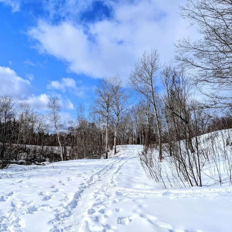Rotary Park - Image 1
