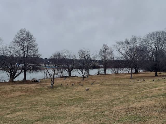M.C. Martin Park - Image 2