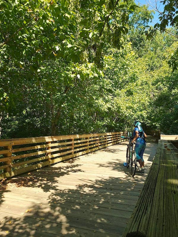 Arabia Mountain Path - Image 2