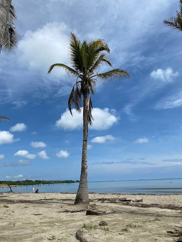 Playa Coveñas - Image 2