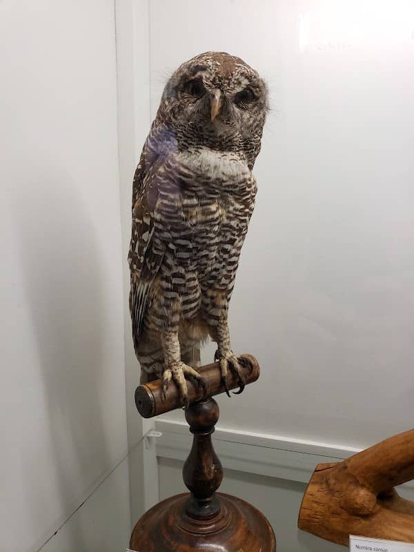 Meseos Y Expo's - Image 1
