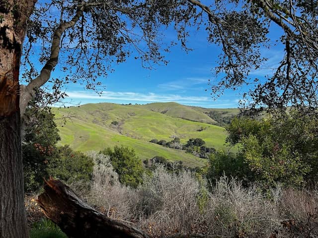 Alvarado Park - Image 2