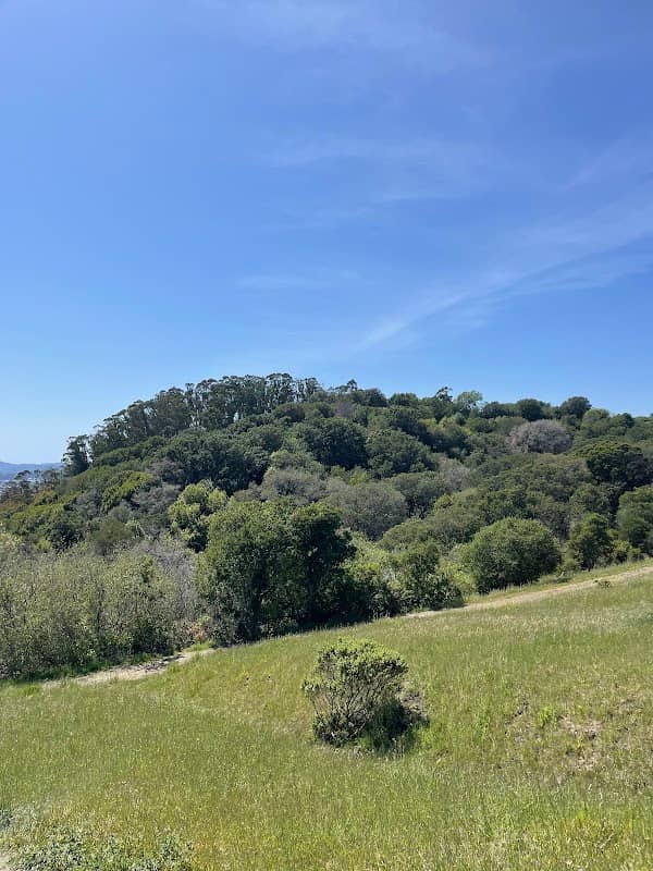Alvarado Park - Image 1